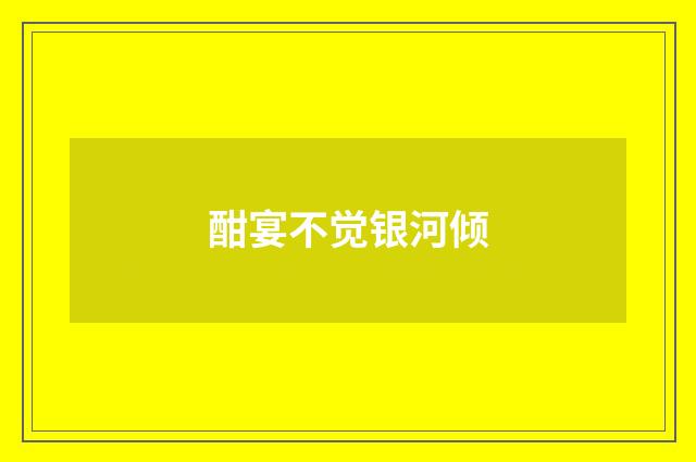 酣宴不觉银河倾
