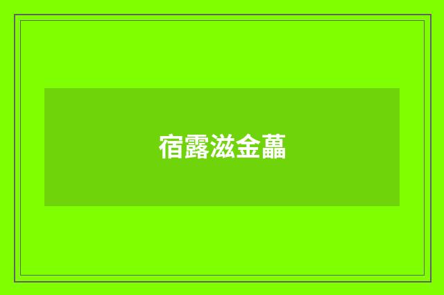 宿露滋金藟