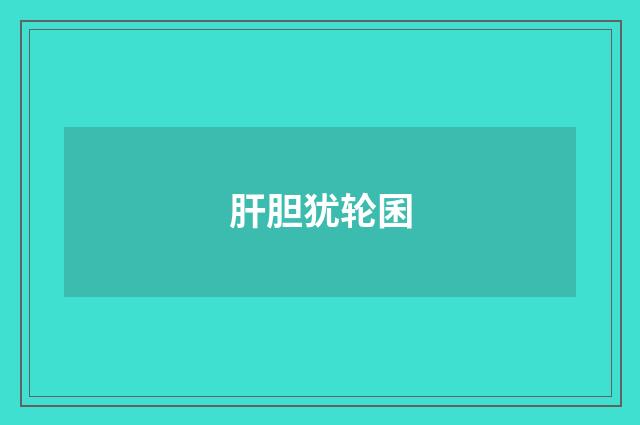 肝胆犹轮囷