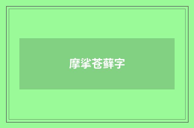 摩挲苍藓字