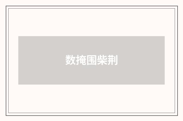 数掩围柴荆