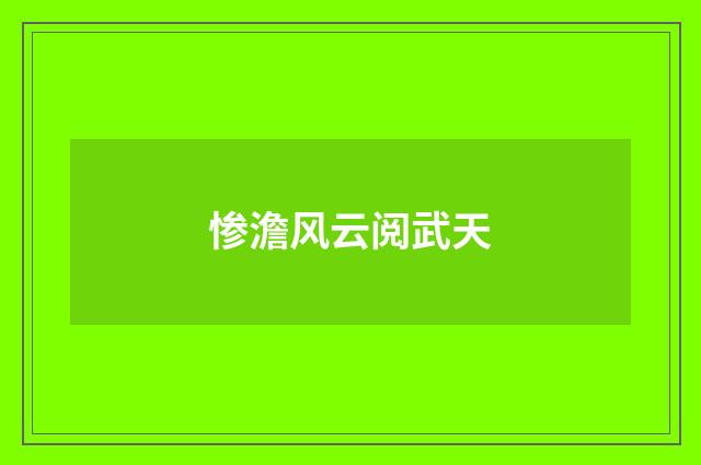 惨澹风云阅武天