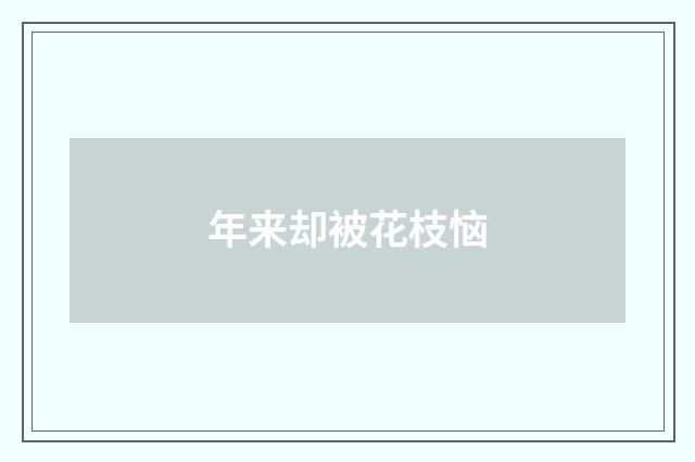 年来却被花枝恼