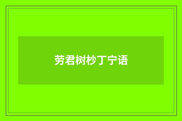劳君树杪丁宁语