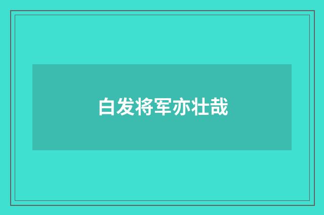 白发将军亦壮哉