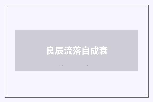 良辰流落自成衰