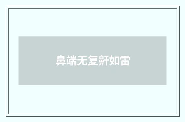 鼻端无复鼾如雷