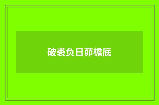 破裘负日茆檐底