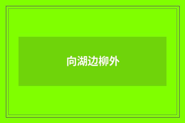 向湖边柳外