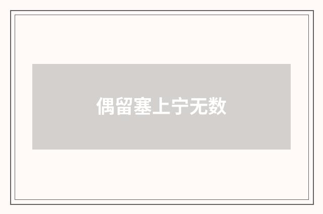 偶留塞上宁无数