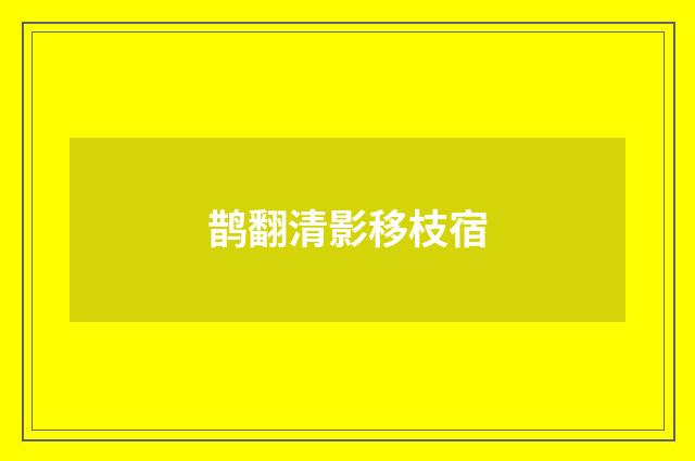 鹊翻清影移枝宿