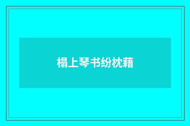 榻上琴书纷枕藉