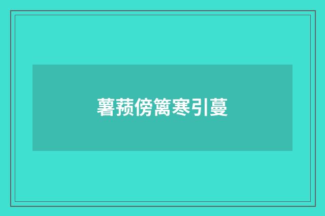 薯蓣傍篱寒引蔓