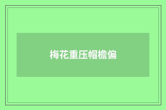 梅花重压帽檐偏