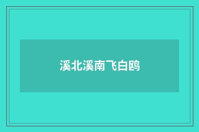 溪北溪南飞白鸥