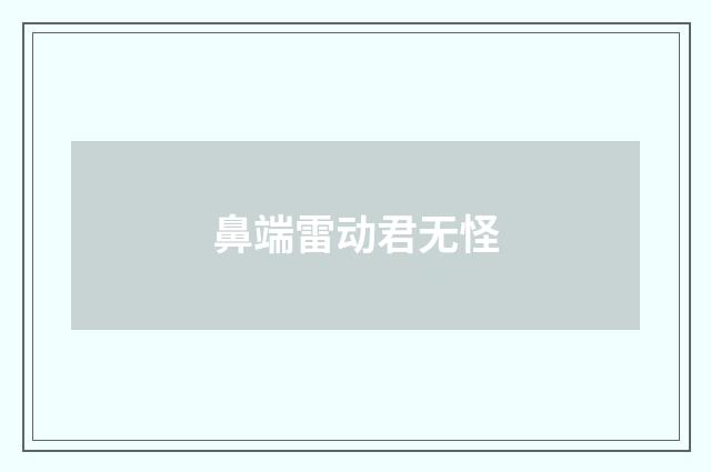 鼻端雷动君无怪