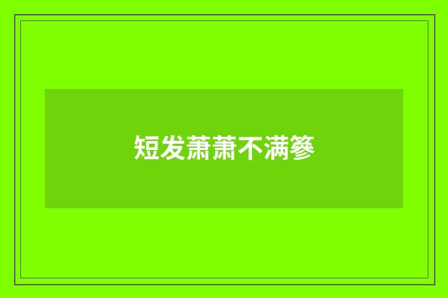 短发萧萧不满篸