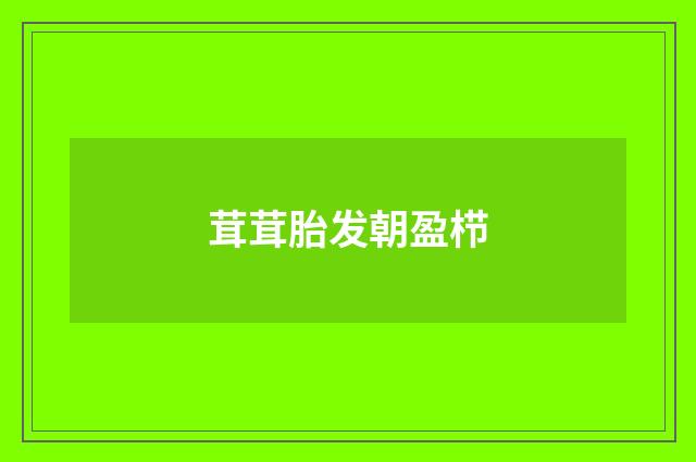 茸茸胎发朝盈栉