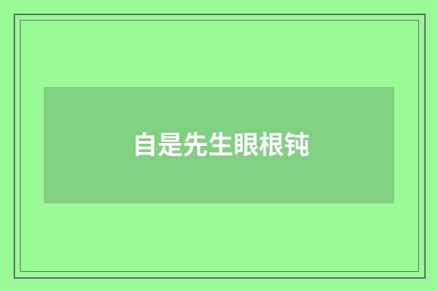 自是先生眼根钝