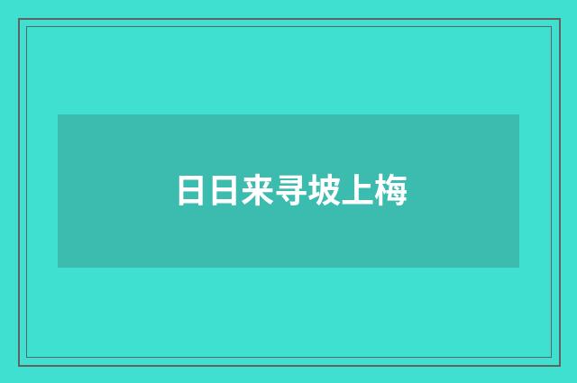 日日来寻坡上梅