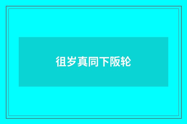 徂岁真同下阪轮