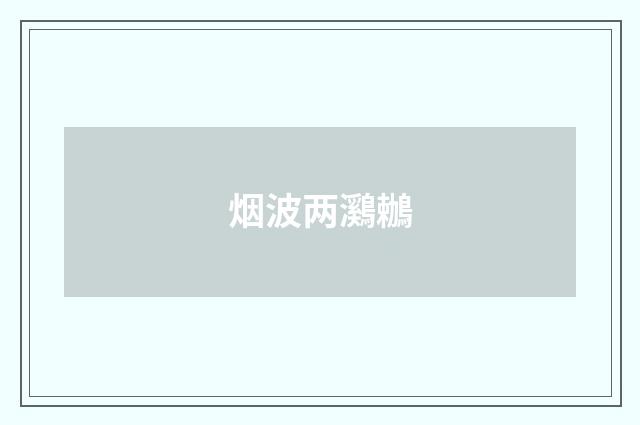 烟波两鸂鶒