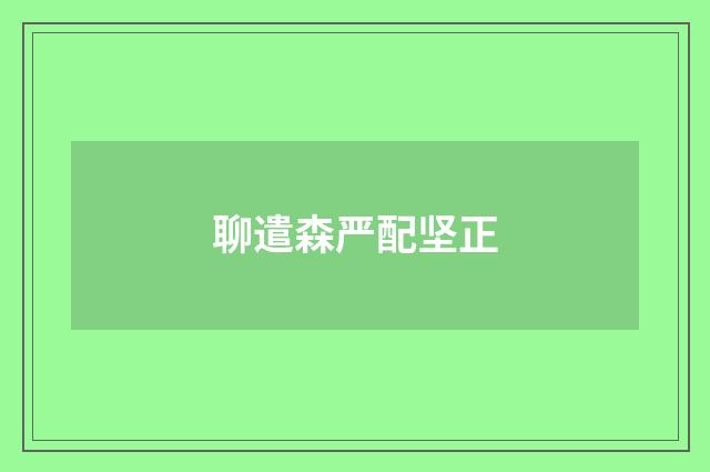 聊遣森严配坚正