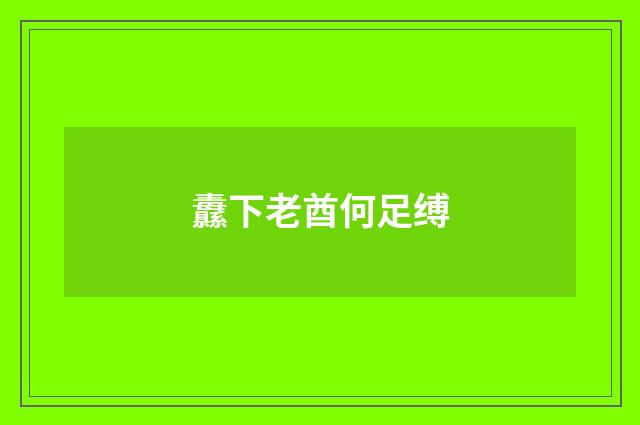 纛下老酋何足缚
