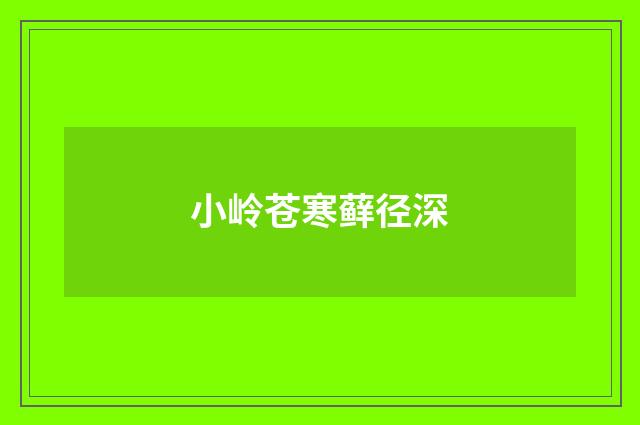 小岭苍寒藓径深