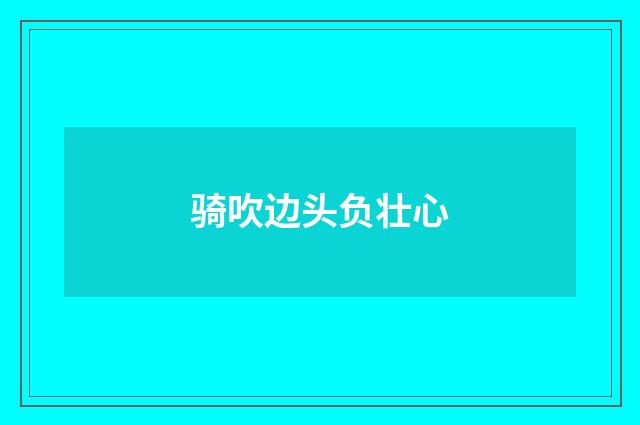 骑吹边头负壮心