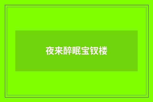 夜来醉眠宝钗楼