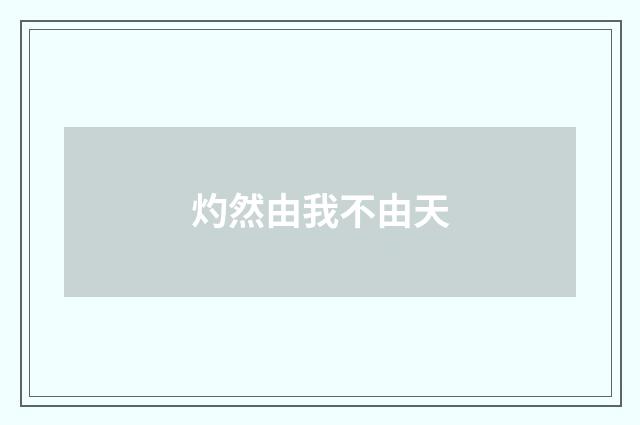 灼然由我不由天