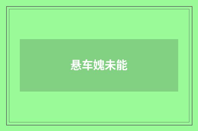 悬车媿未能