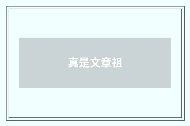 真是文章祖