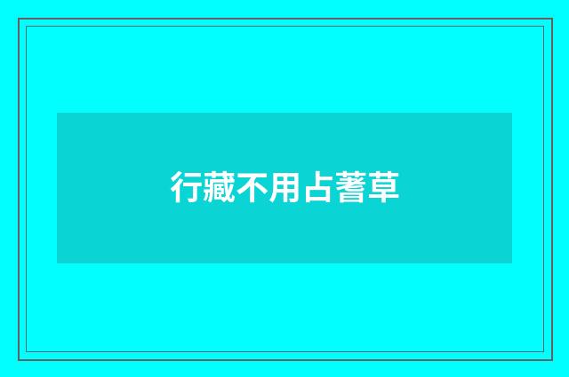 行藏不用占蓍草
