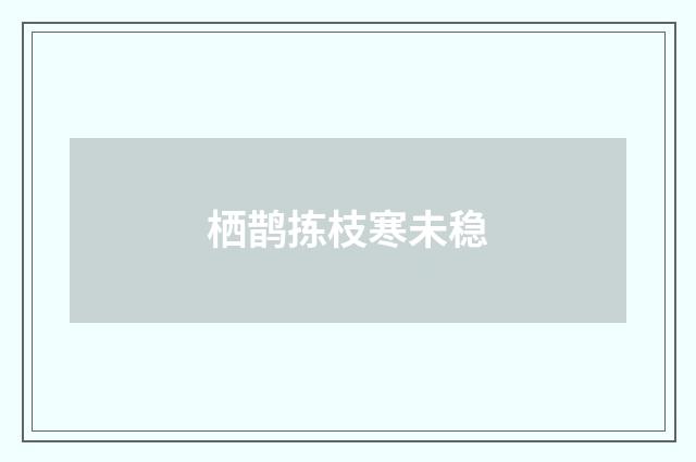 栖鹊拣枝寒未稳