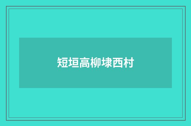 短垣高柳埭西村