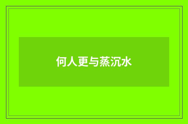 何人更与蒸沉水