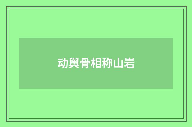 动舆骨相称山岩