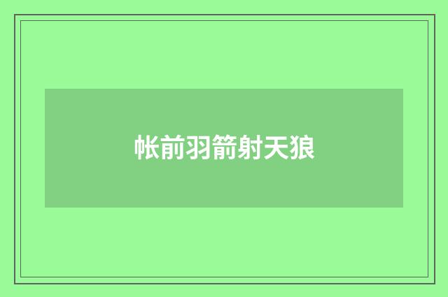帐前羽箭射天狼