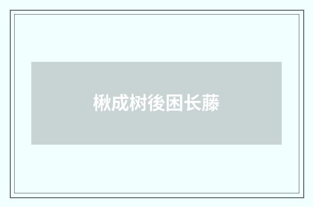 楸成树後困长藤