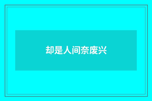 却是人间奈废兴