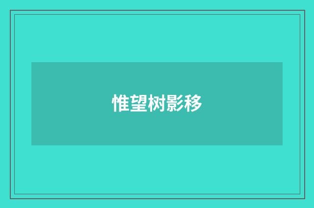 惟望树影移