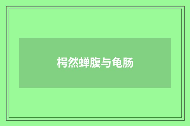 枵然蝉腹与龟肠