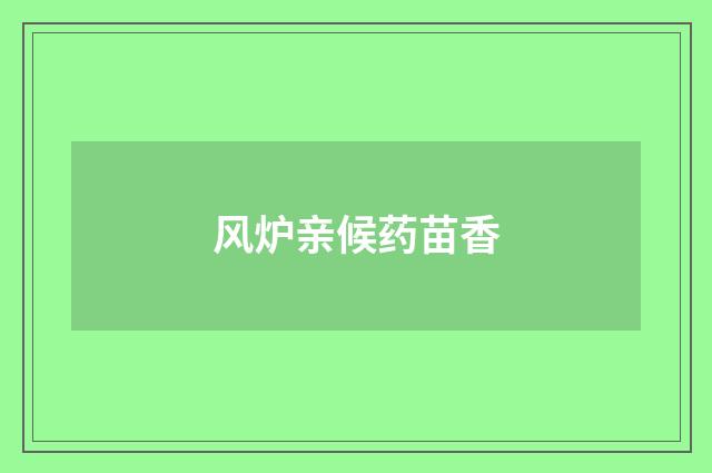 风炉亲候药苗香