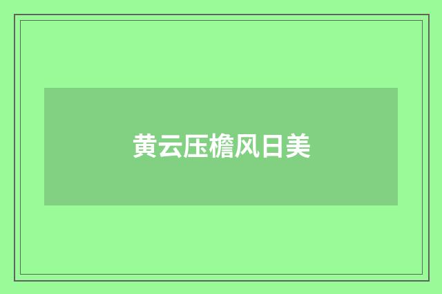 黄云压檐风日美
