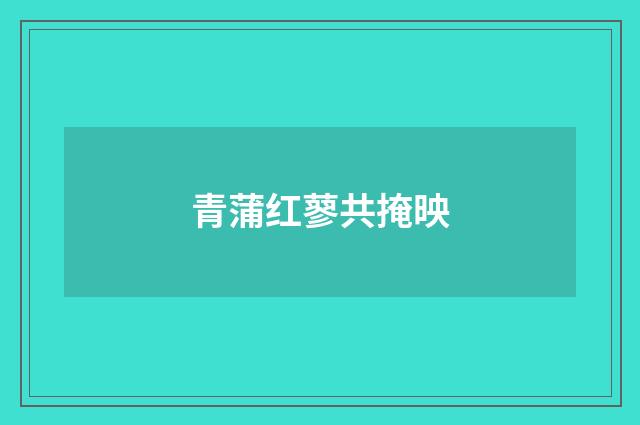 青蒲红蓼共掩映