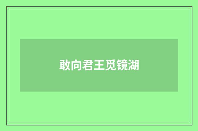 敢向君王觅镜湖