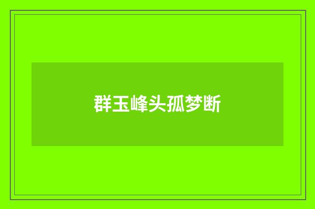 群玉峰头孤梦断