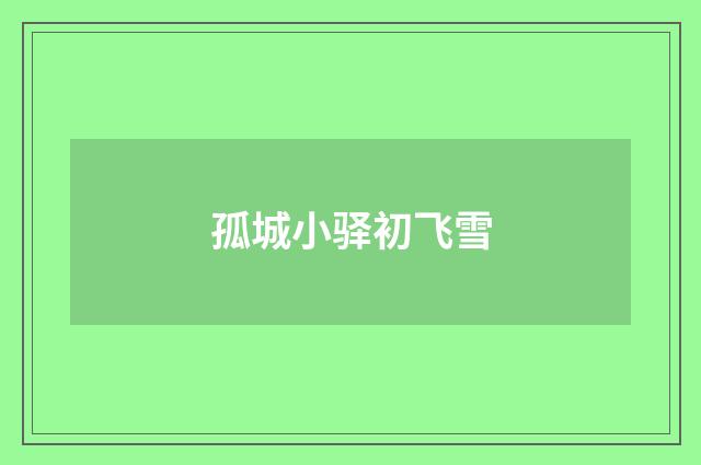 孤城小驿初飞雪